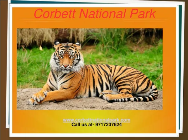 Get Corbett Tour Packages-Corbett National Park
