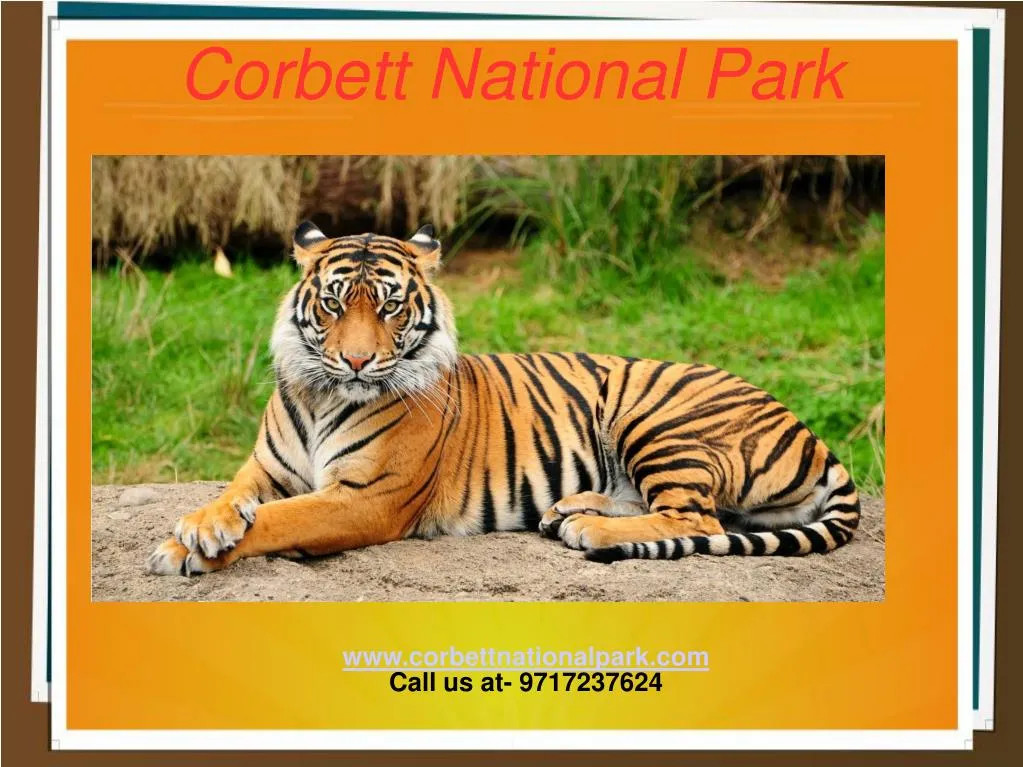 www corbettnationalpark com call us at 9717237624