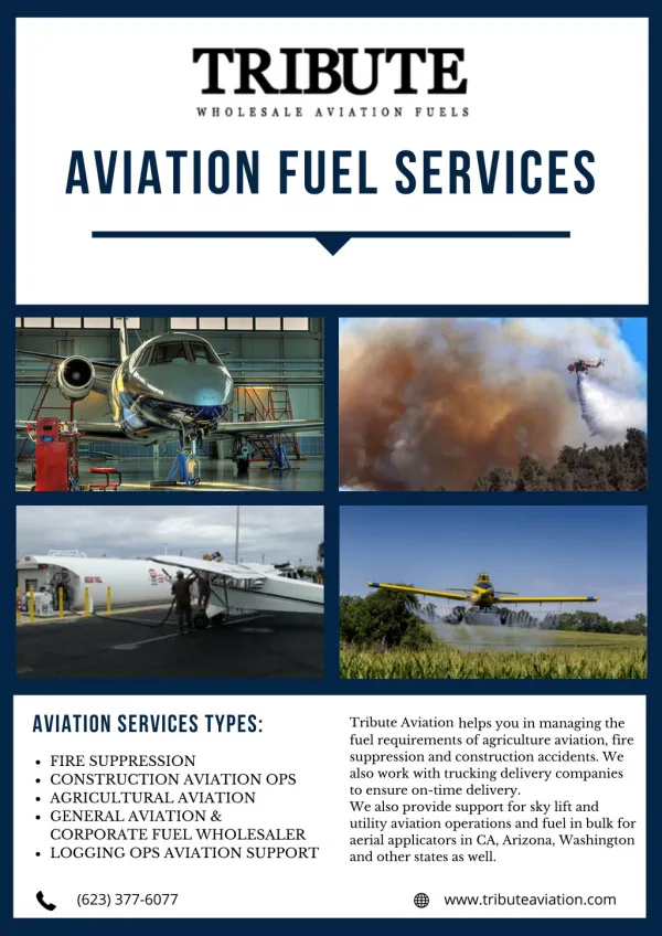 Aviation Fuel Services