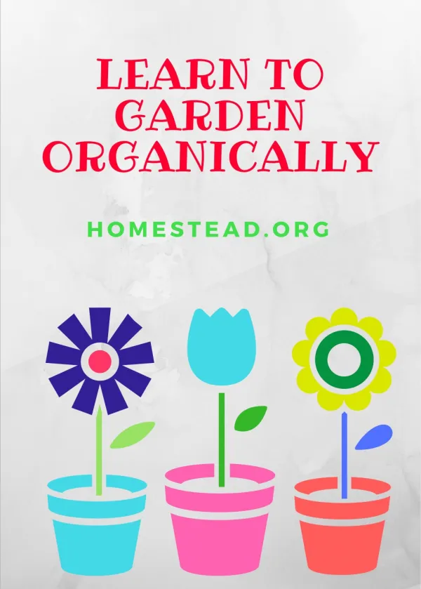 How to Start an Organic Garden | Homestead.Org