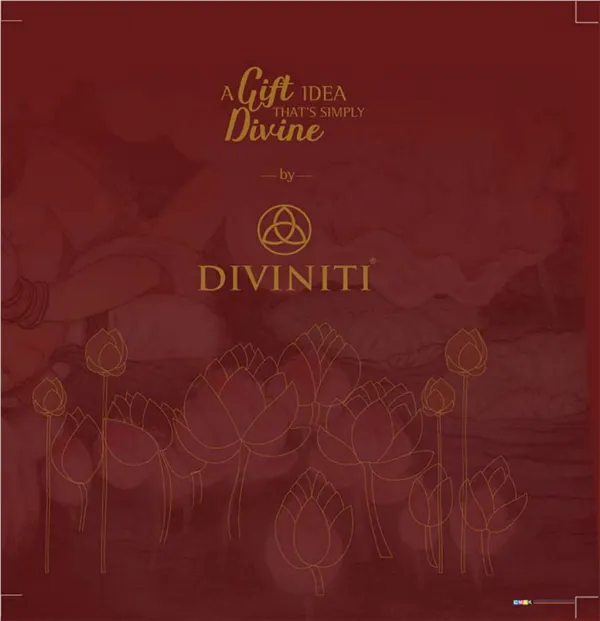 Diviniti Product Brochure | Complete Details