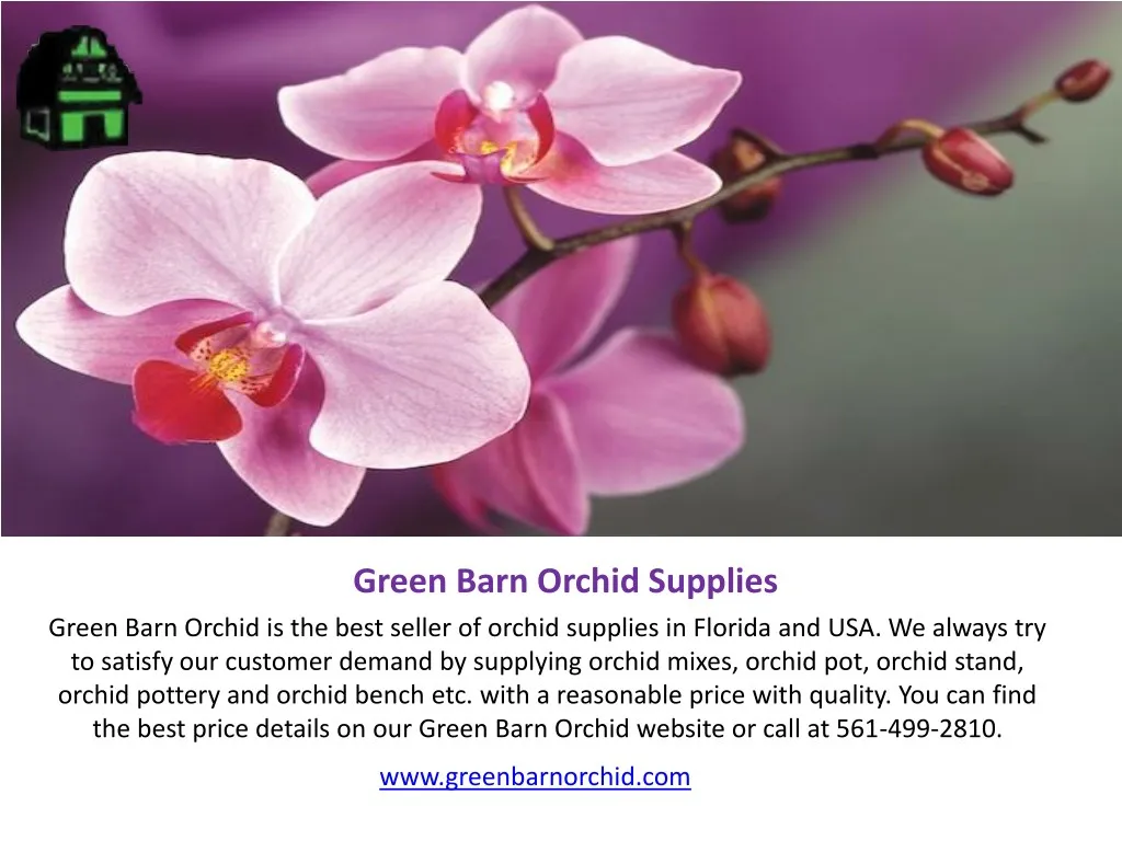green barn orchid supplies