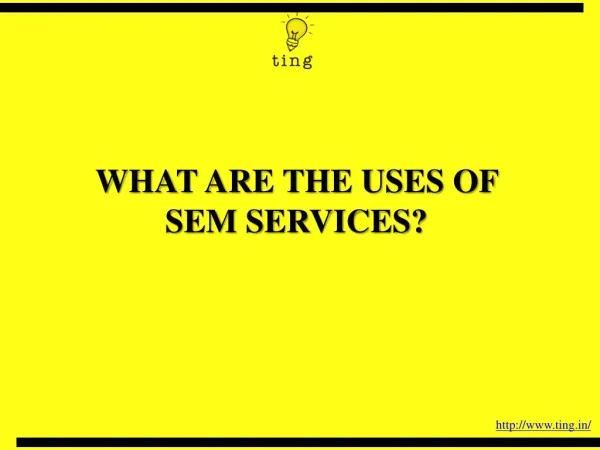 WHAT ARE THE USES OF SEM SERVICES?