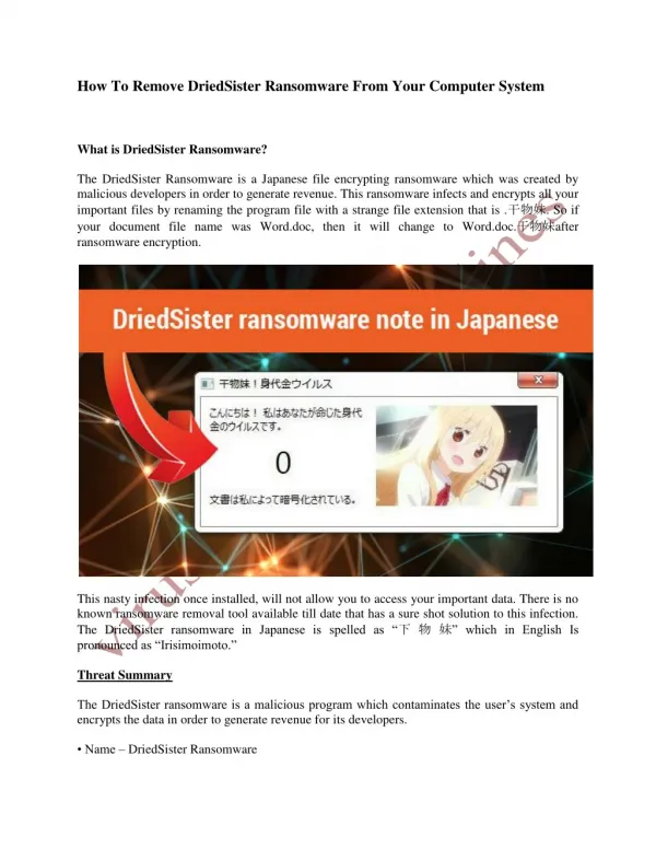 How to remove DriedSister ransomware from your computer system