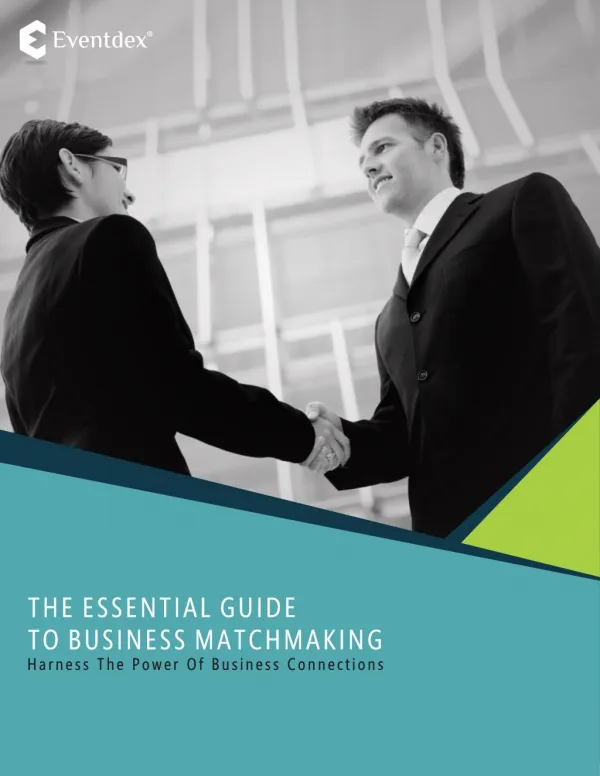 THE ESSENTIAL GUIDE TO BUSINESS MATCHMAKING