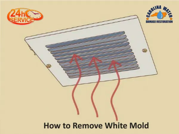 How to Remove White Mold from Your Residency