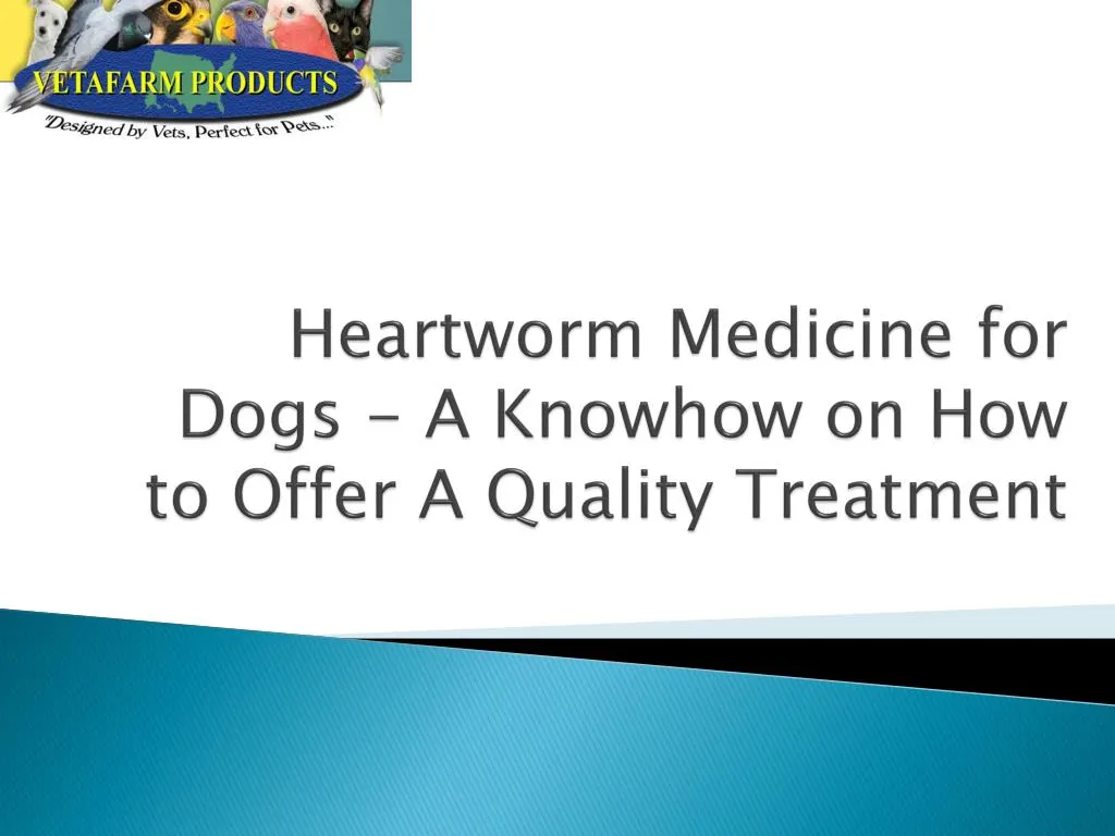 heartworm medicine for dogs a knowhow on how to offer a quality treatment
