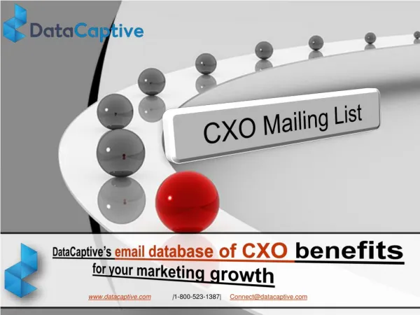 CXO email list