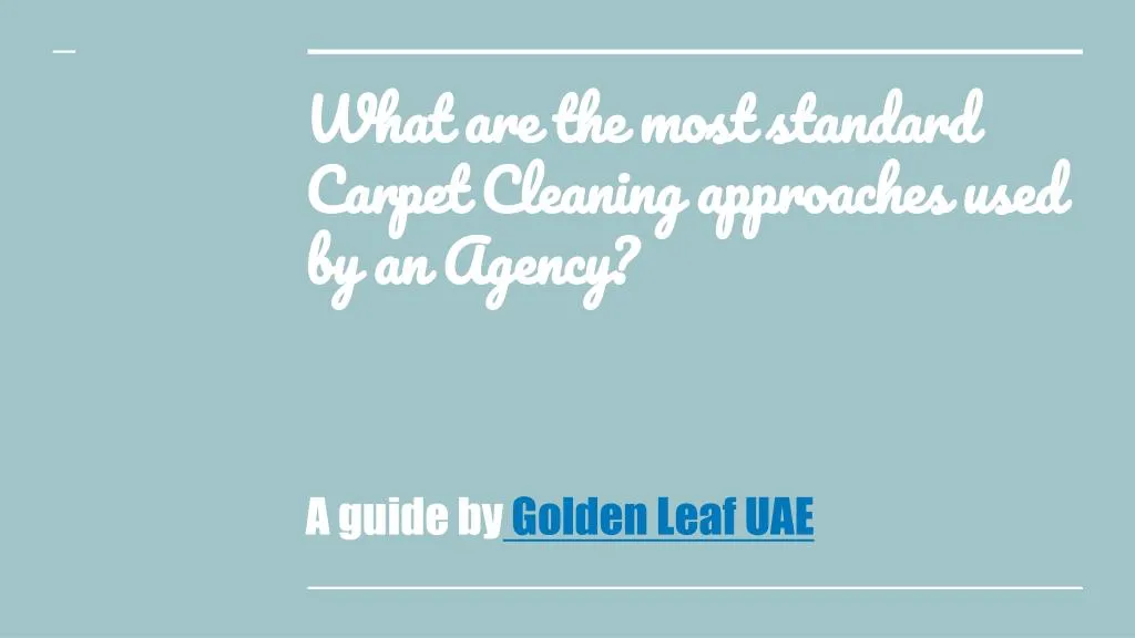 what are the most standard carpet cleaning approaches used by an agency