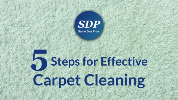 5 Steps for Effective Carpet Cleaning