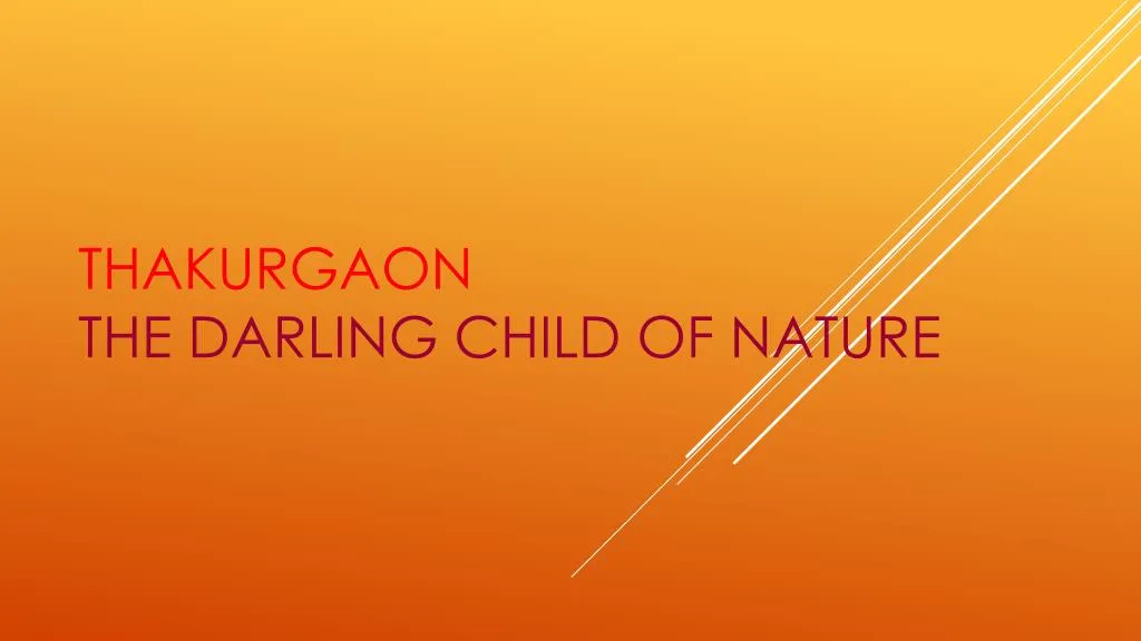 thakurgaon the darling child of nature