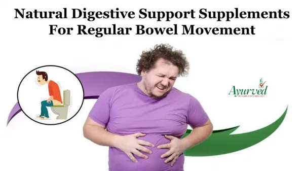 Natural Digestive Support Supplements for Regular Bowel Movement