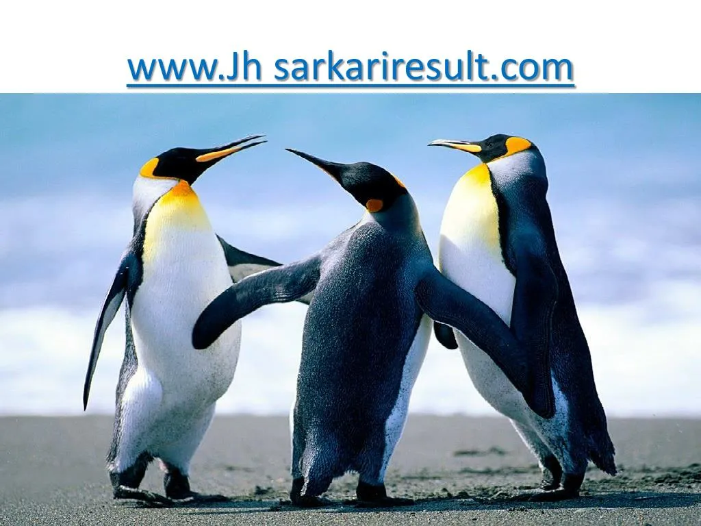 www jh sarkariresult com