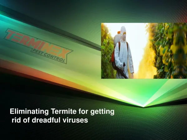 Eliminating Termite for getting rid of dreadful viruses