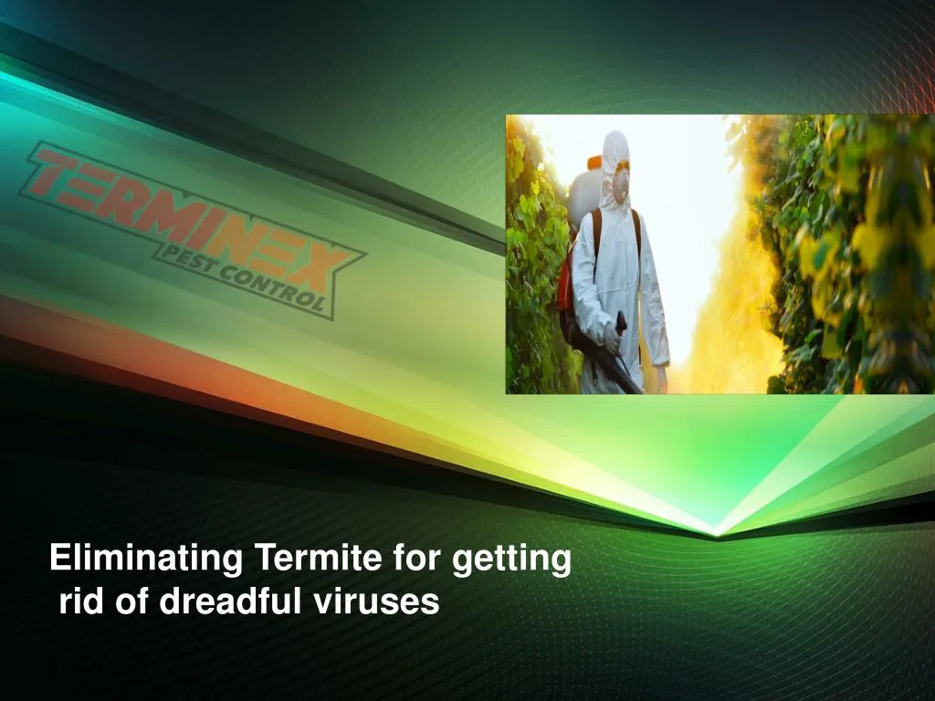 eliminating termite for getting rid of dreadful