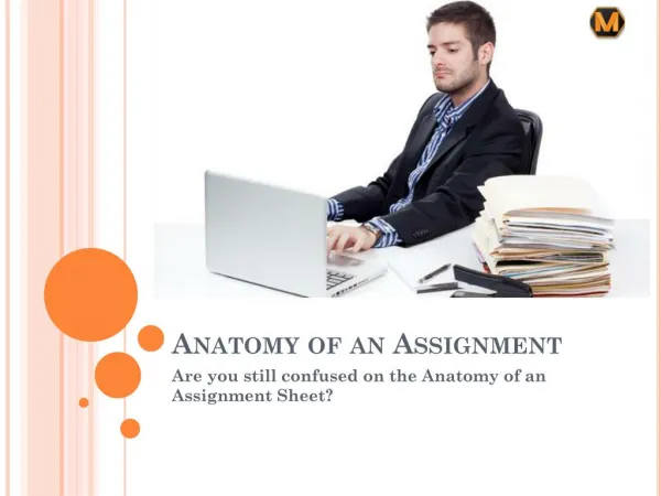 Anatomy of an Assignment Sheet