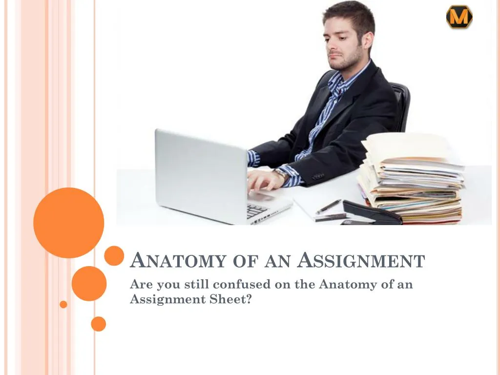 anatomy of an assignment