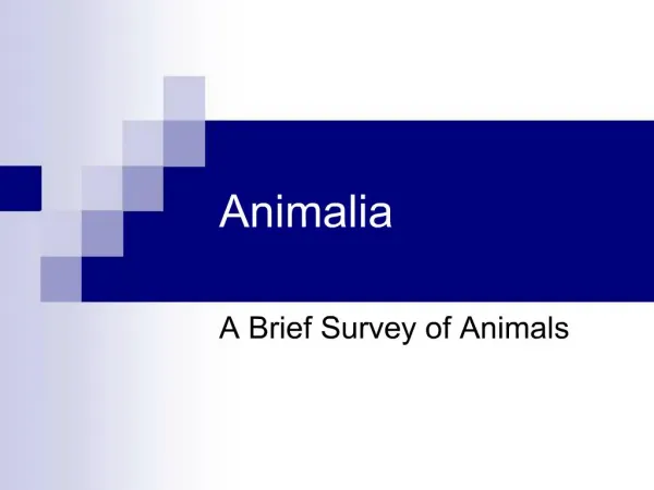 Animalia