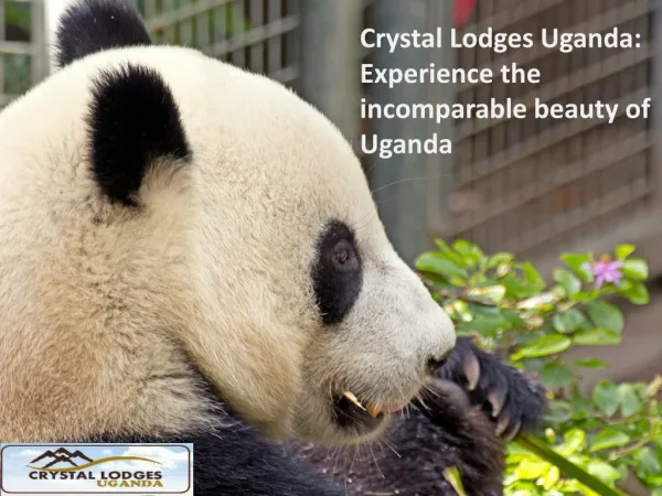 Crystal Lodges Uganda Experience the incomparable beauty of Uganda