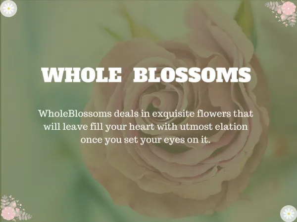 Wide Range of Flowers suited for your occasions from wholeblossoms