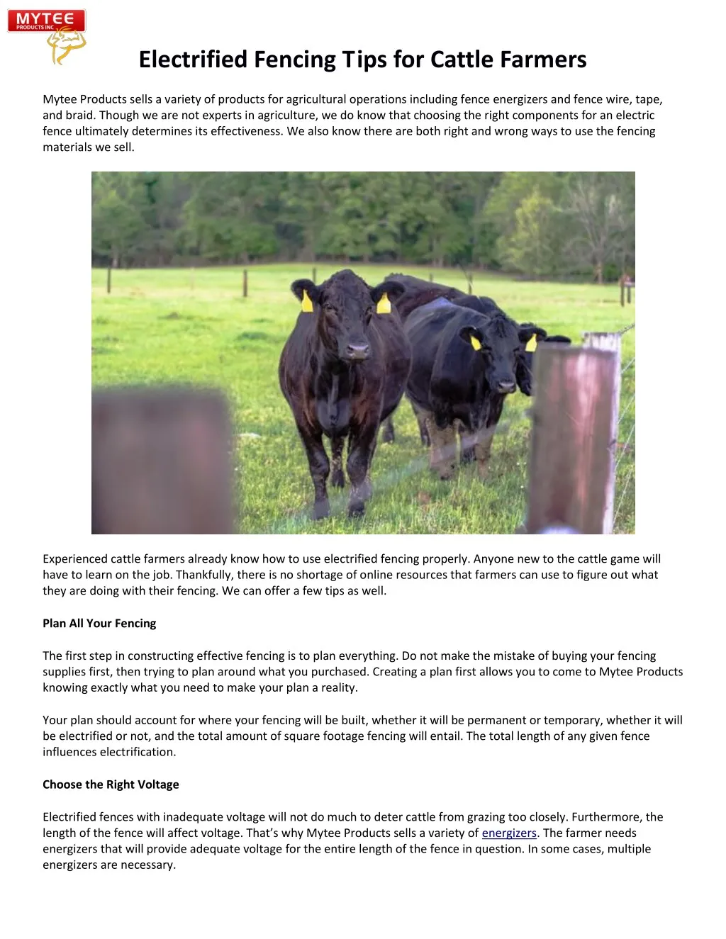 electrified fencing tips for cattle farmers