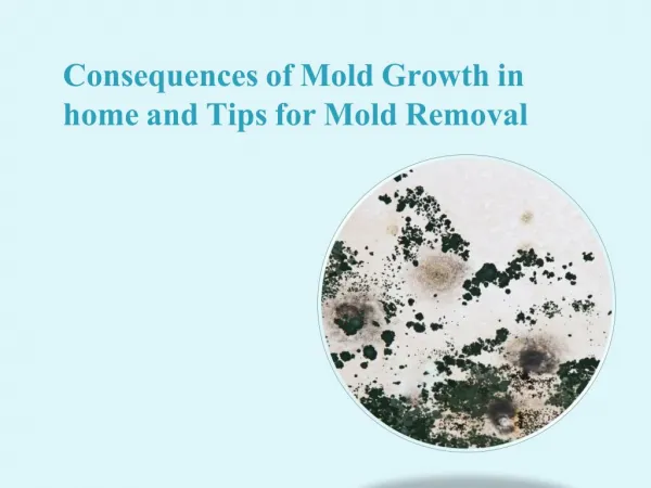 Consequences of Mold Growth in home and Tips for Mold Removal