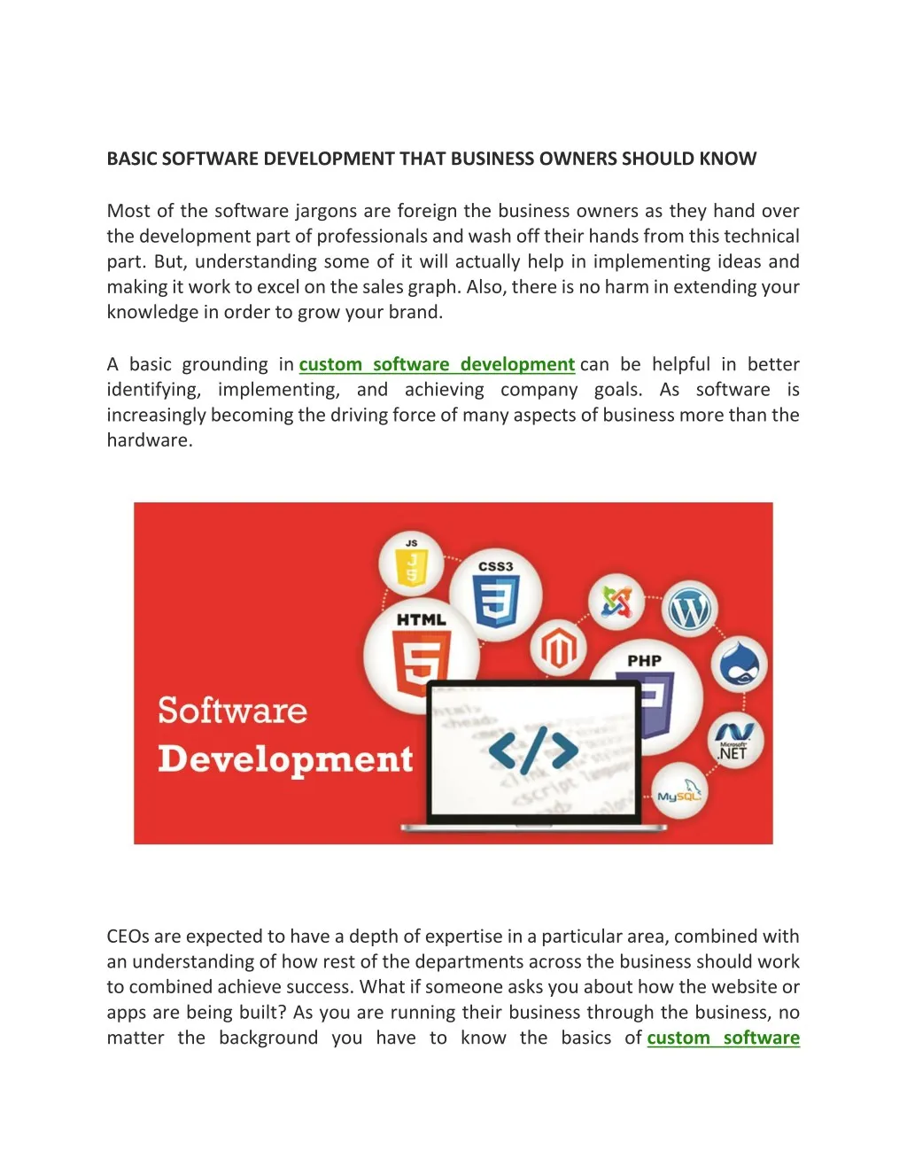 basic software development that business owners