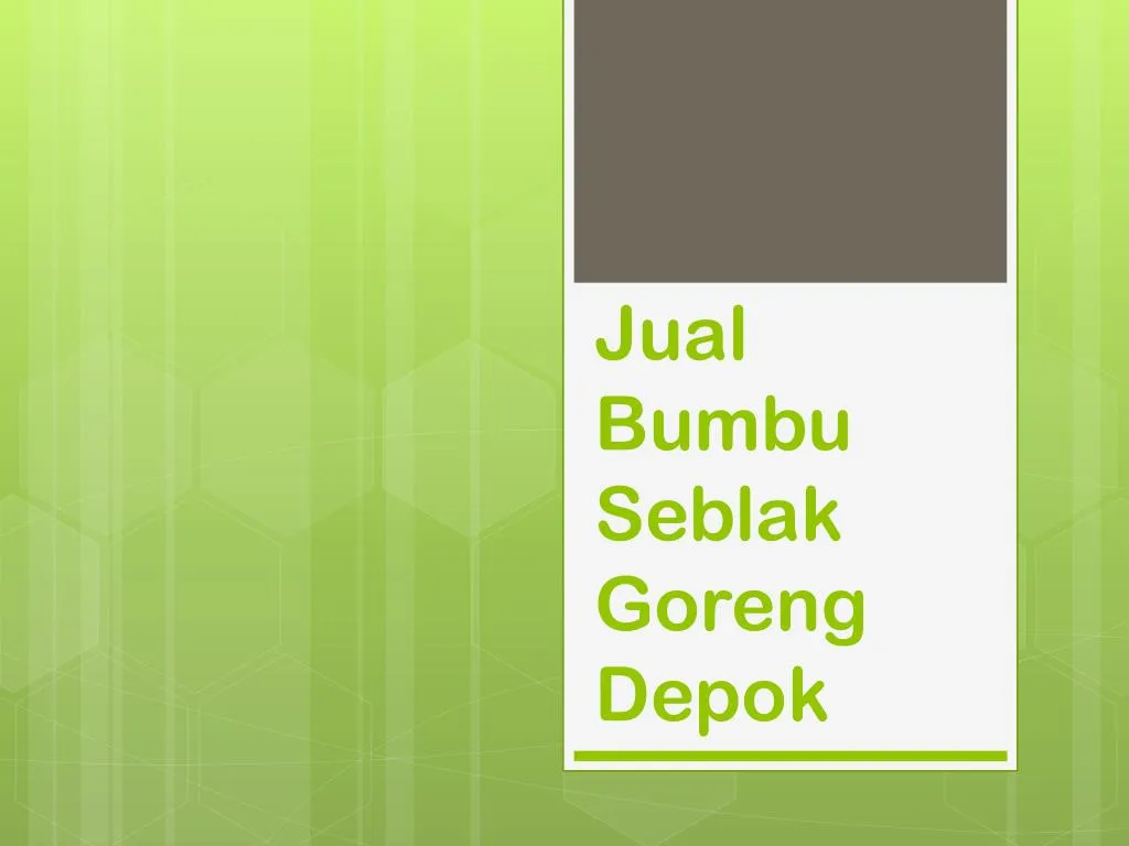 jual bumbu seblak goreng depok