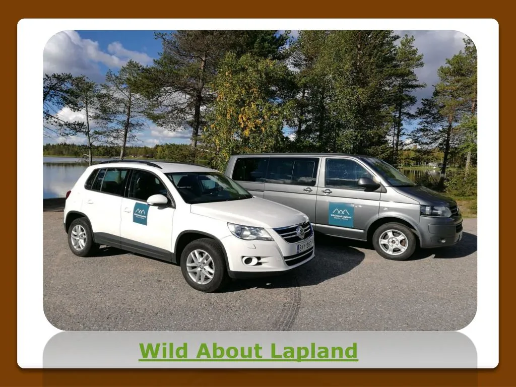 wild about lapland