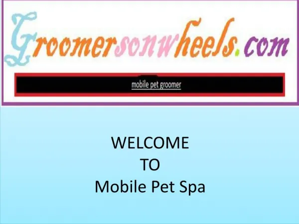 affordable pet grooming near me services in beverly hills