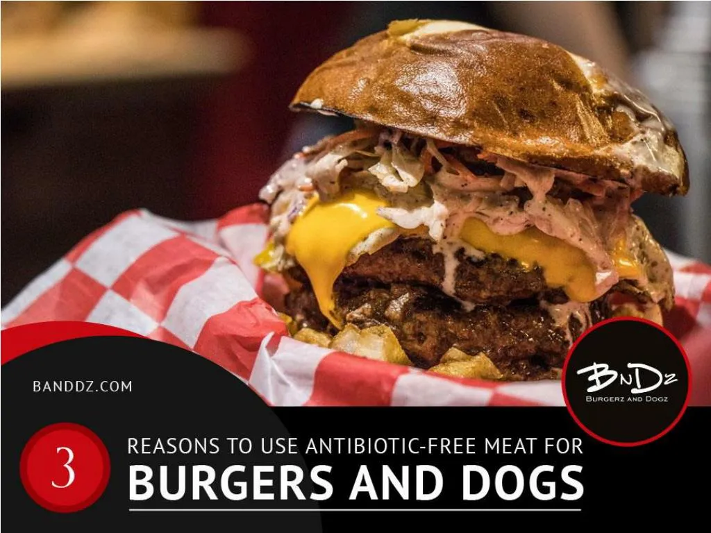 3 reasons to use antibiotic free meat for burgers and dogs