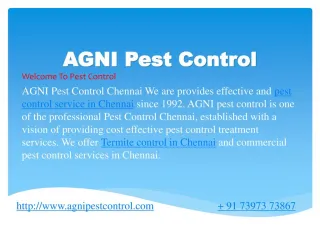 pest control in chennai | pest control services in chennai | termite control - slide 1