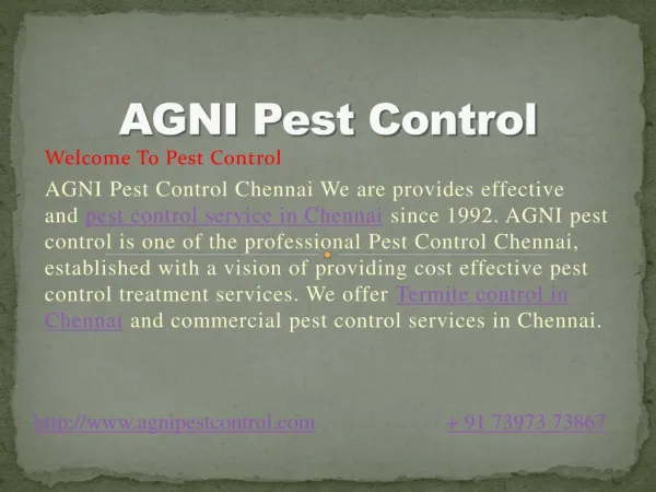 Pest Control in Chennai | Termite Control in Chennai