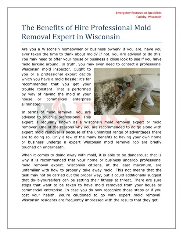 Benefits of Hire Professional Mold Removal Expert in Wisconsin