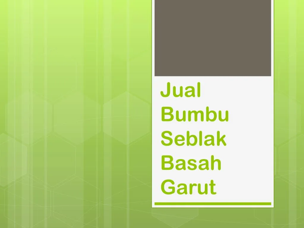 jual bumbu seblak basah garut