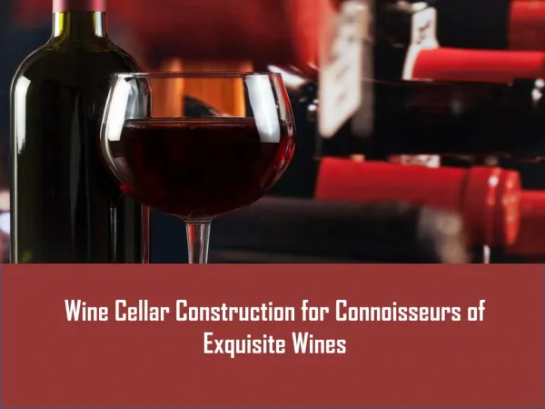 Wine Cellar Construction For Connoisseurs Of Exquisite Wines