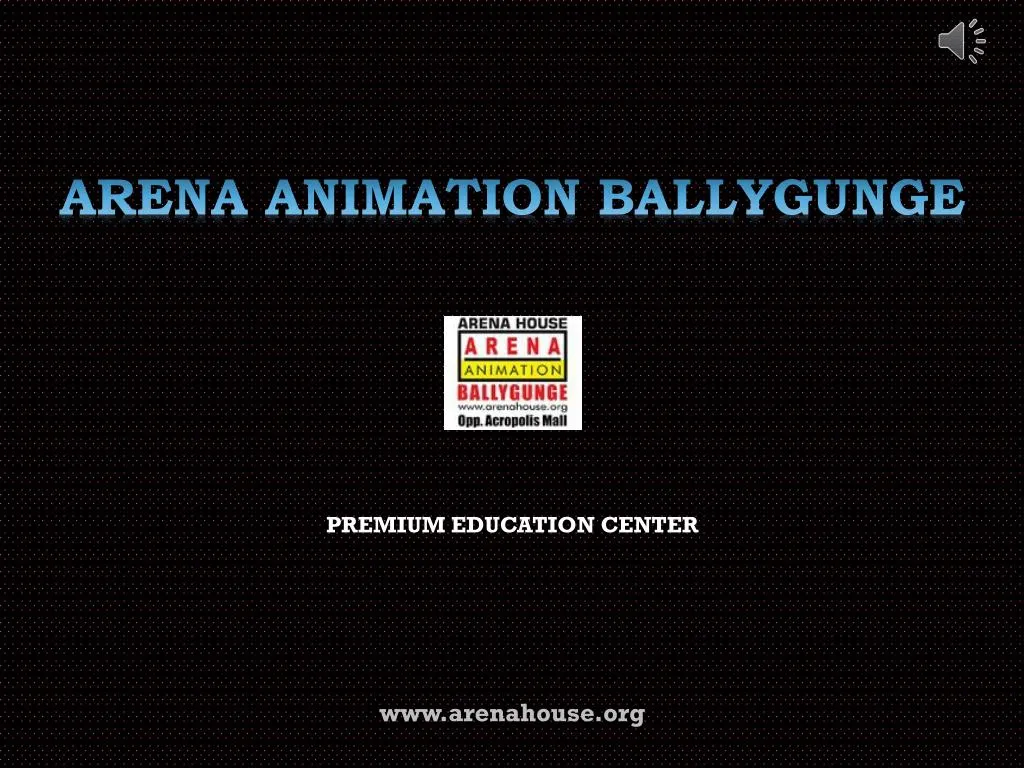 arena animation ballygunge