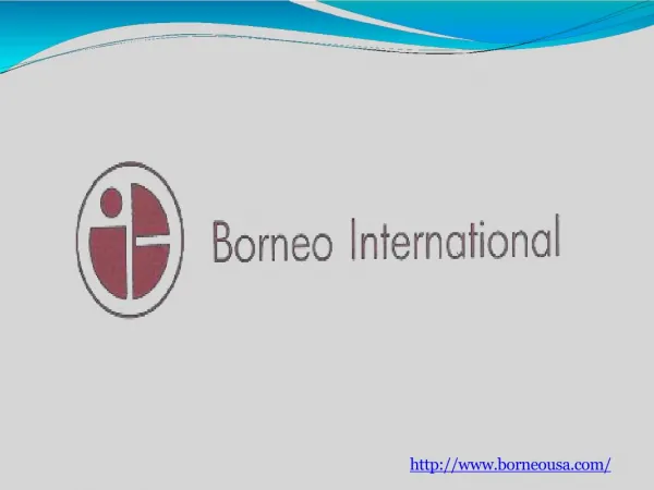 Borneo international