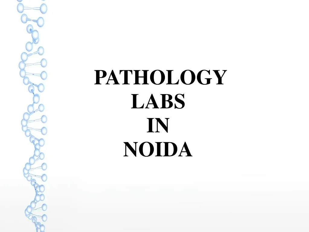 pathology labs in noida