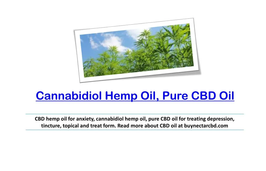 cannabidiol hemp oil pure cbd oil