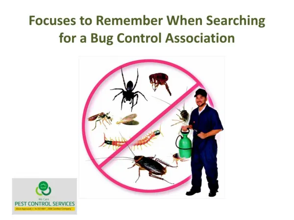Focuses to Remember When Searching for a Bug Control Association