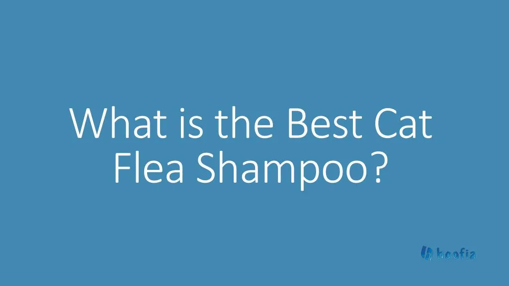 what is the best cat flea shampoo