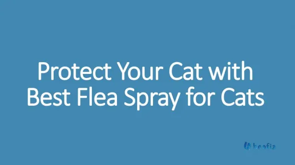 Protect Your Cat with Best Flea Spray for Cats