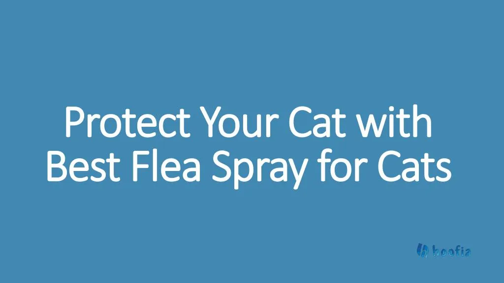 protect your cat with best flea spray for cats