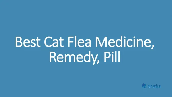 Best Cat Flea Medicine, Remedy, Pill
