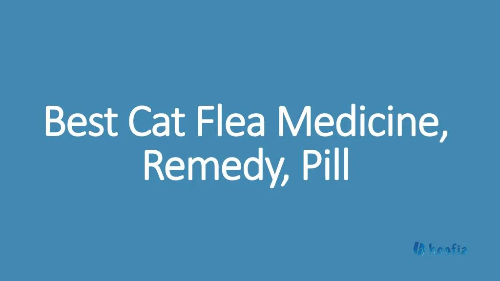 best cat flea medicine remedy pill