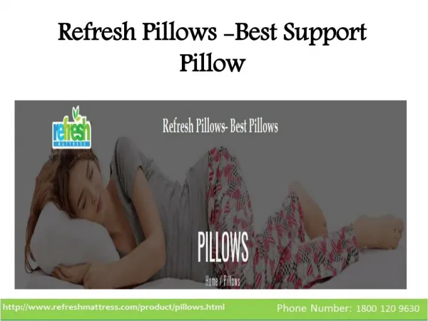 Refresh Pillows-Best Support Pillow