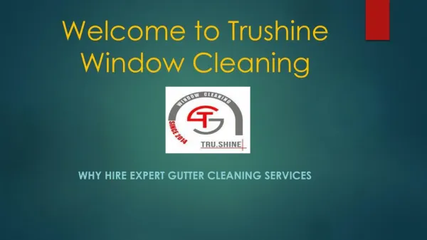 Home Window Cleaning Service