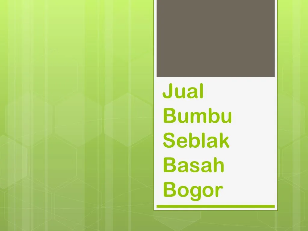 jual bumbu seblak basah bogor