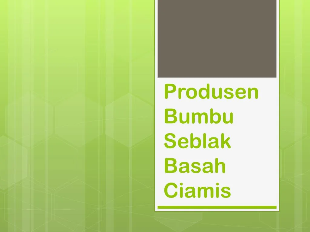 produsen bumbu seblak basah ciamis